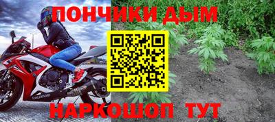 шишки Краснознаменск