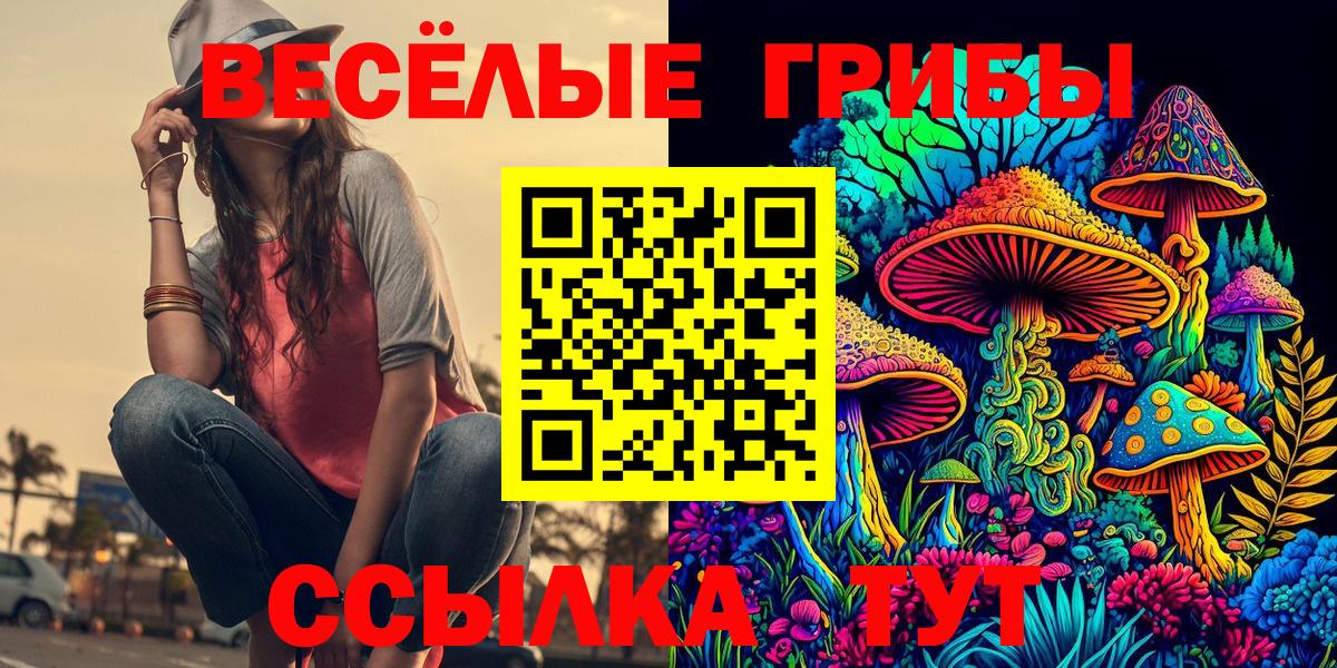 Псилоцибиновые грибы мухоморы Иваново