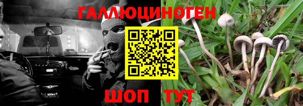 Иваново  Псилоцибиновые грибы MAGIC MUSHROOMS  Вход с VPN 
